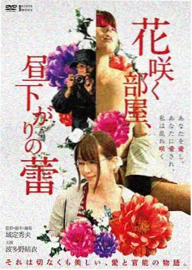 荷花渡口年代情感剧剧照